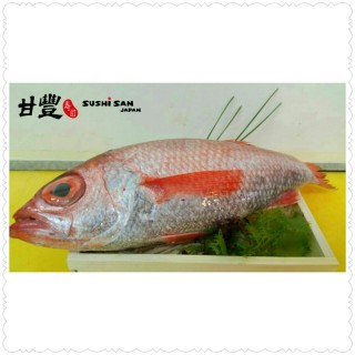 【赤鯥 (紅喉魚) / 赤ムツ(あかむつ) / Akamutu 】
味感 : 肉質甘甜,細緻,油份重。 - ใน大圍 จากร้านSushi San Japan (大圍)|ฮ่องกง